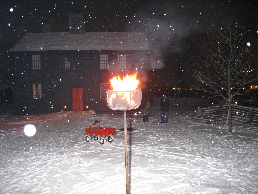 Henry Ford Christmas 2009 048.jpg - One fo the "fire baskets" to light the path.